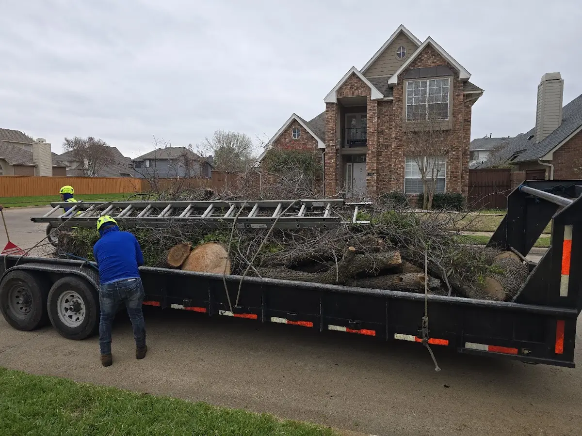 Expert Tree Pest Control with proper safety equipment in Payne